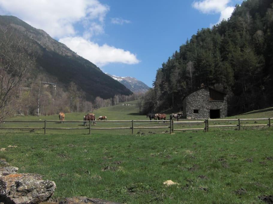 Apartament Gran Pirineu Montferrer Exteriör bild